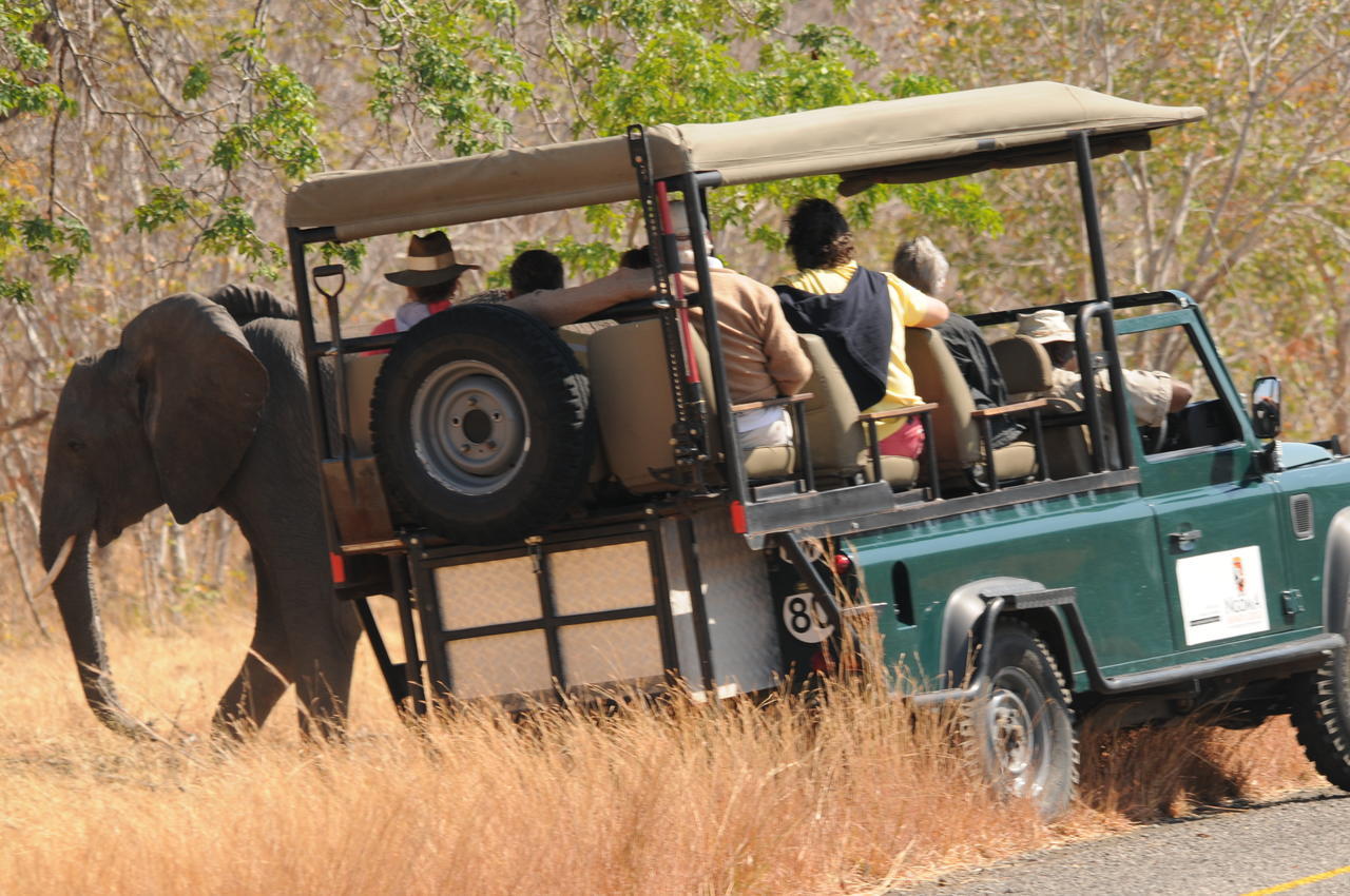Ngoma Safari Lodge Kavimba Exteriör bild