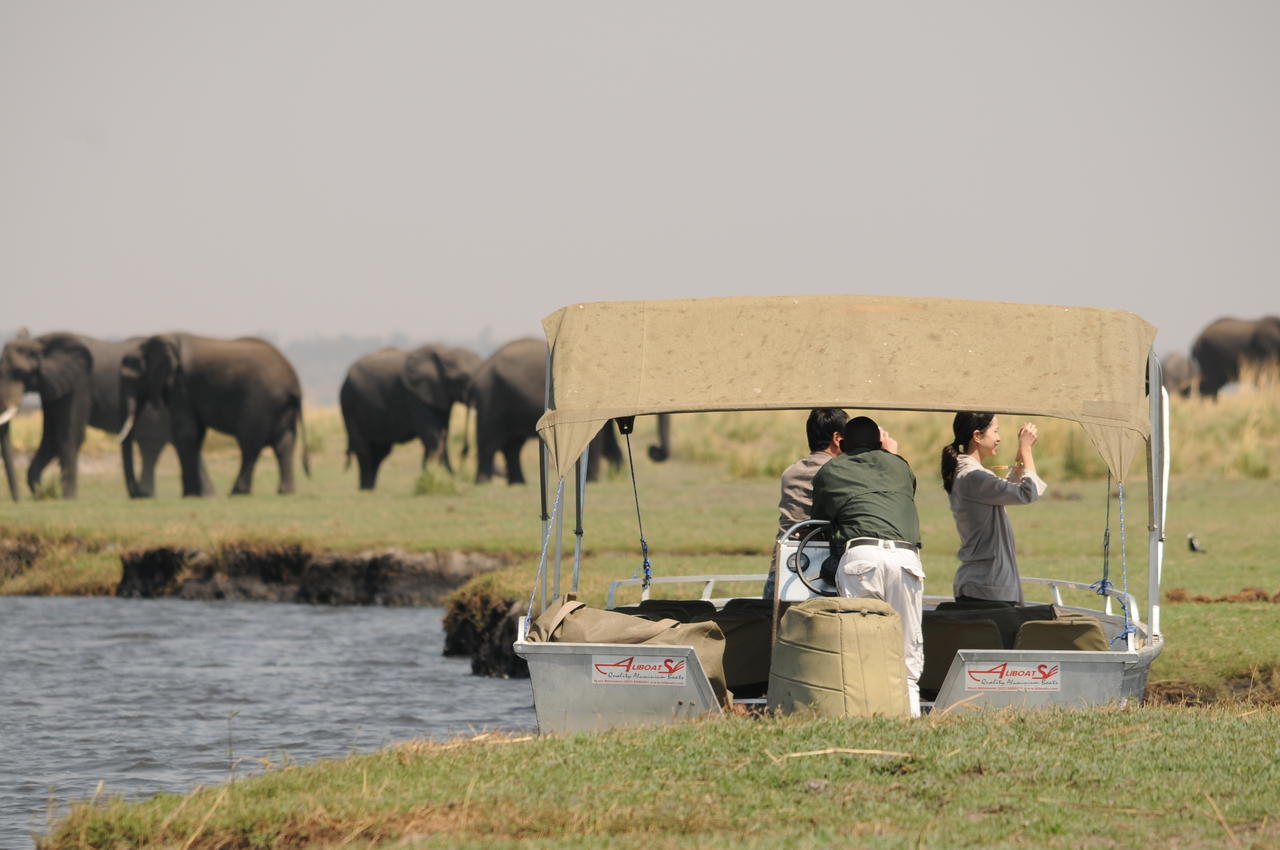 Ngoma Safari Lodge Kavimba Exteriör bild