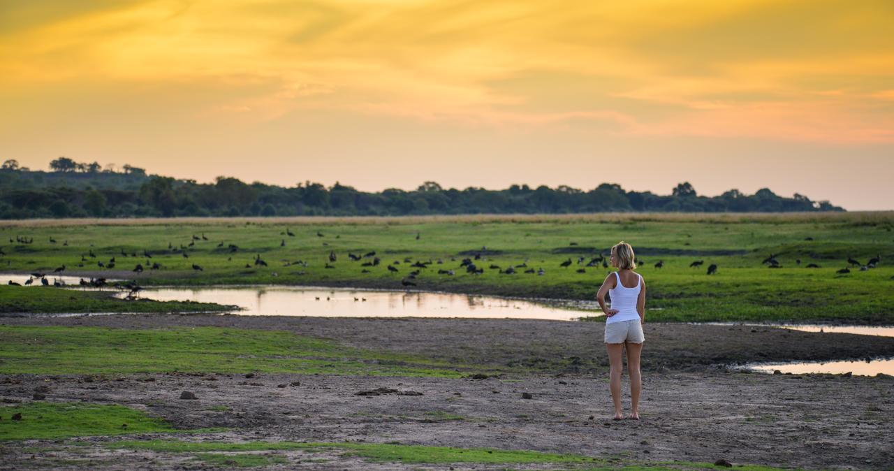 Ngoma Safari Lodge Kavimba Exteriör bild