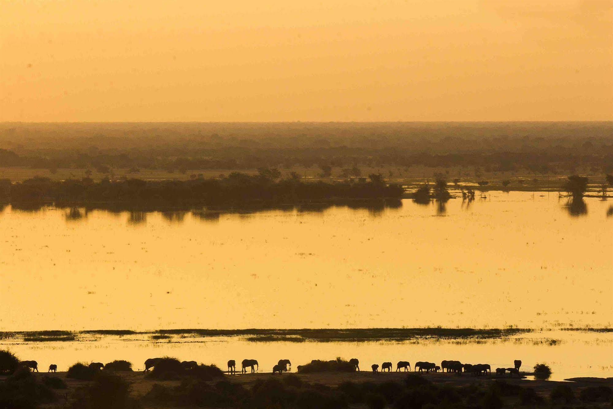 Ngoma Safari Lodge Kavimba Exteriör bild
