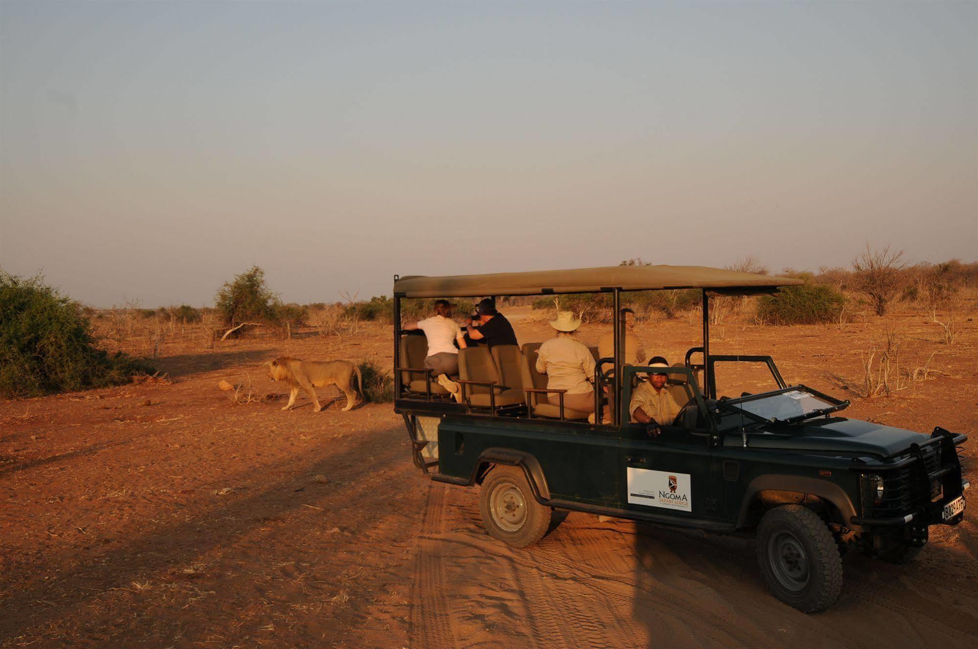Ngoma Safari Lodge Kavimba Exteriör bild