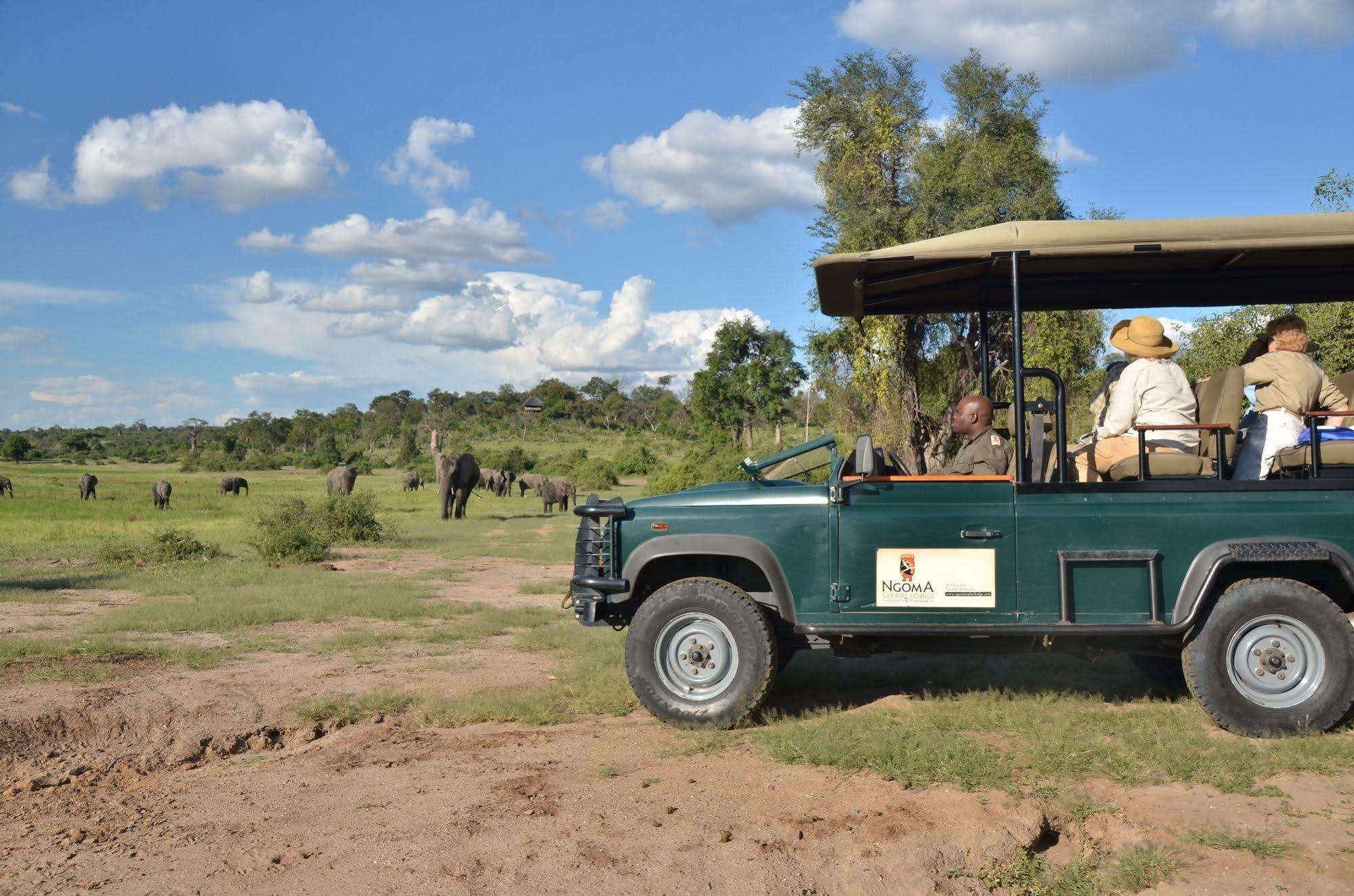 Ngoma Safari Lodge Kavimba Exteriör bild